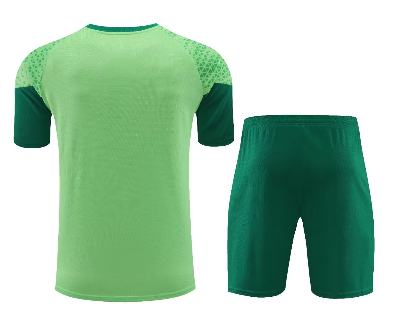 PALMEIRAS TRAINING KIT THIRD 2024-2025