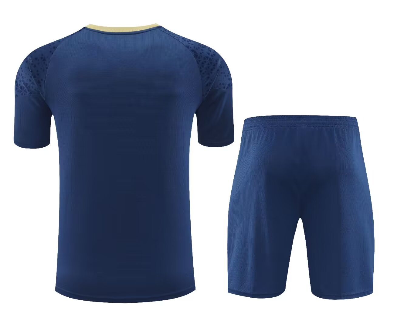 PALMEIRAS TRAINING KIT ONE 2024-2025