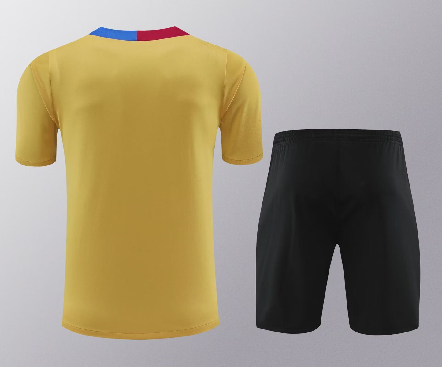 BARCELONA TRAINING KIT SECOND 2024-2025