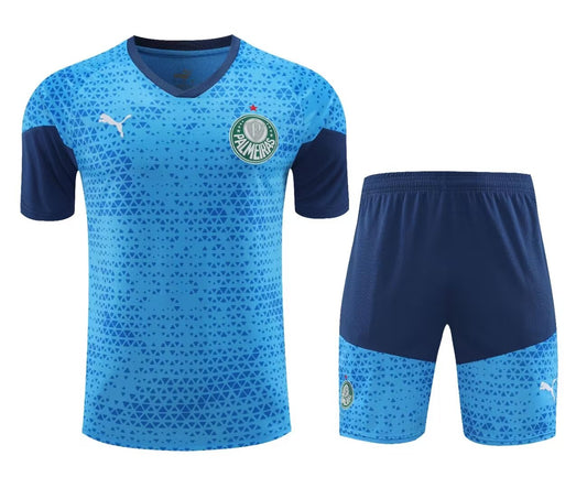 PALMEIRAS TRAINING KIT SECOND 2024-2025