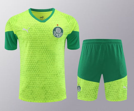 PALMEIRAS TRAINING KIT FIFTH 2024-2025