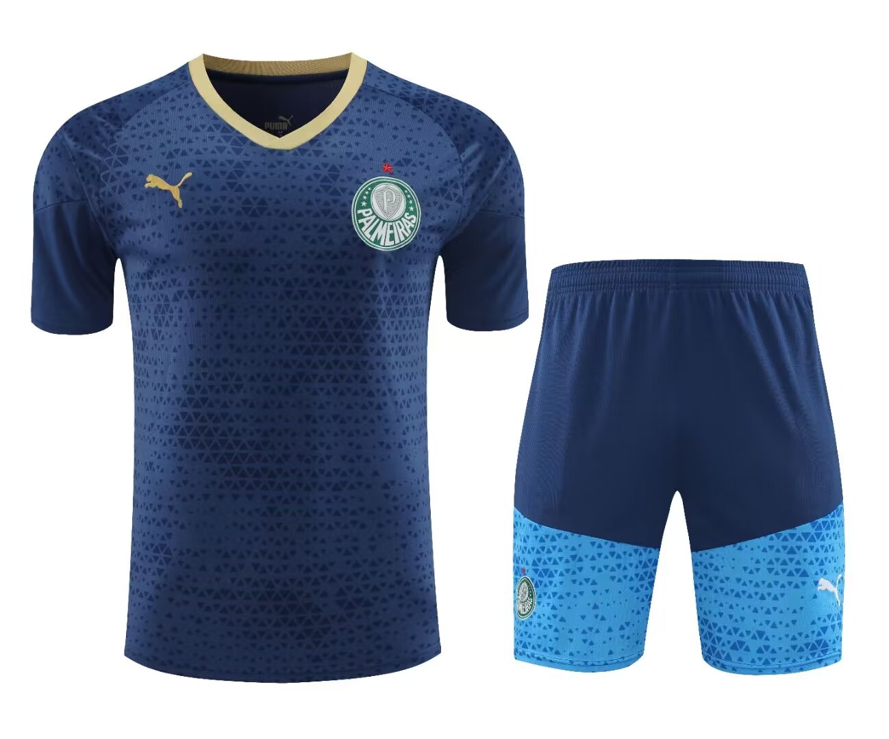 PALMEIRAS TRAINING KIT ONE 2024-2025