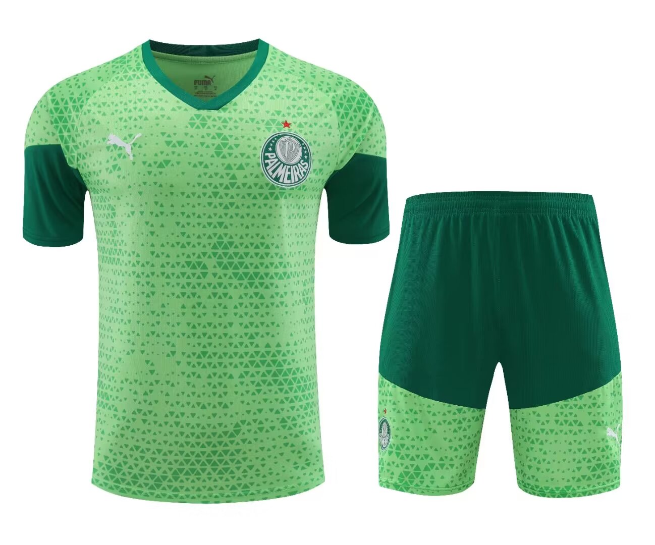 PALMEIRAS TRAINING KIT THIRD 2024-2025